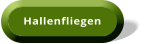 Hallenfliegen